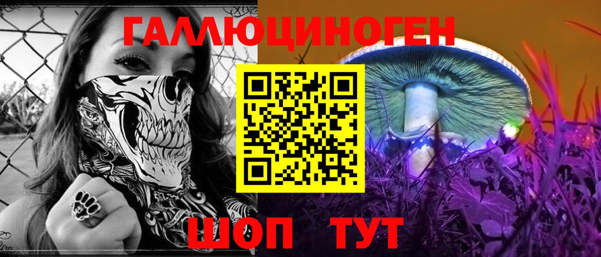 Галлюциногенные грибы Psilocybe Кстово