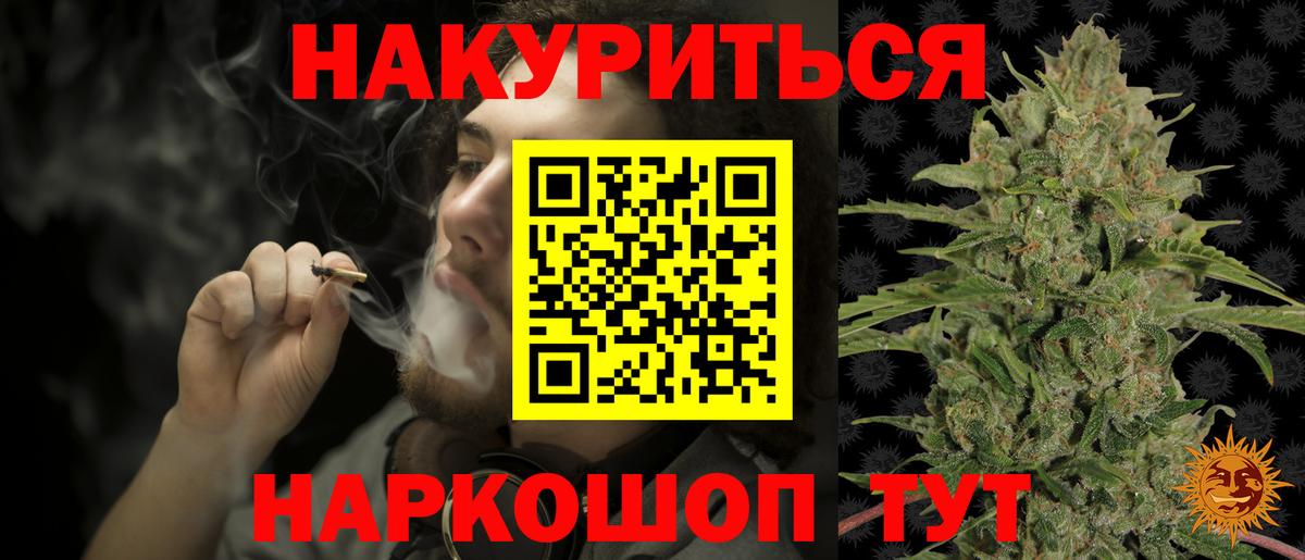 Канабис сатива Кстово